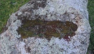 Necrópolis visigoda de Arroyo de la Luz: álbum fotográfico actualizado