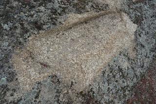 Necrópolis visigoda de Arroyo de la Luz: álbum fotográfico actualizado