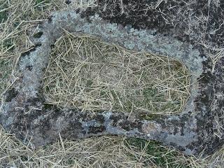 Necrópolis visigoda de Arroyo de la Luz: álbum fotográfico actualizado