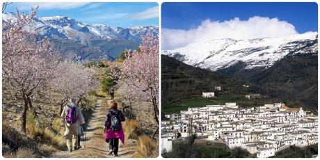 Qué hacer en Almería