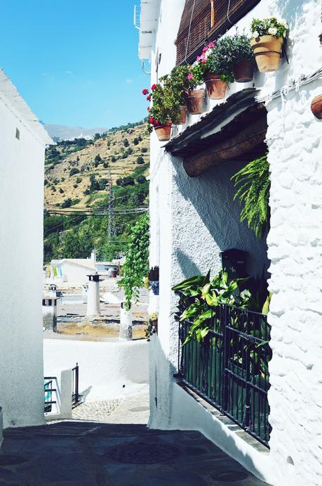 ESCAPADA A LA SIERRA DE GRANADA: CAPILEIRA Y PAMPANEIRA