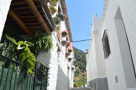 ESCAPADA A LA SIERRA DE GRANADA: CAPILEIRA Y PAMPANEIRA