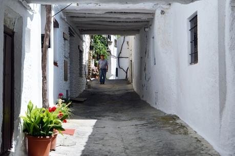 ESCAPADA A LA SIERRA DE GRANADA: CAPILEIRA Y PAMPANEIRA