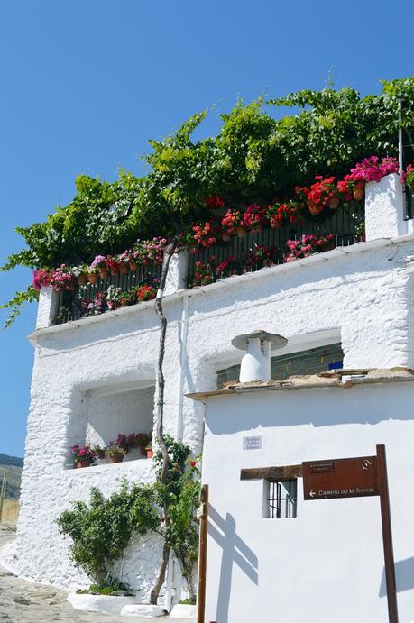 ESCAPADA A LA SIERRA DE GRANADA: CAPILEIRA Y PAMPANEIRA