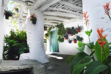 ESCAPADA A LA SIERRA DE GRANADA: CAPILEIRA Y PAMPANEIRA