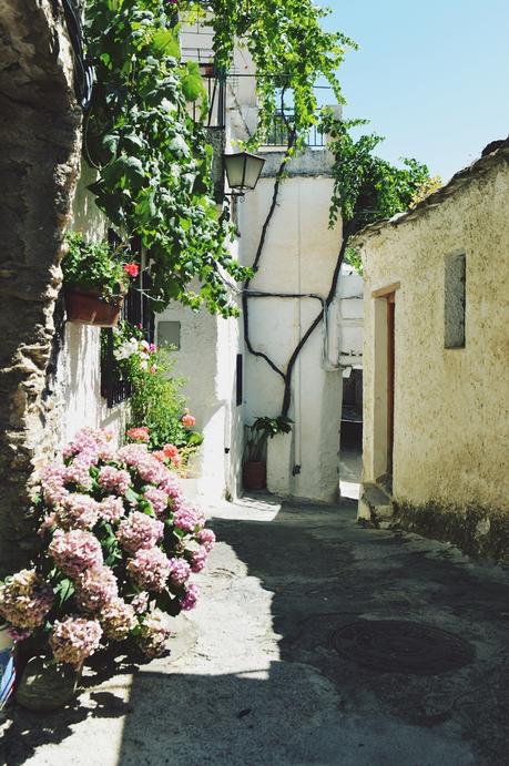 ESCAPADA A LA SIERRA DE GRANADA: CAPILEIRA Y PAMPANEIRA