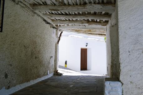 ESCAPADA A LA SIERRA DE GRANADA: CAPILEIRA Y PAMPANEIRA