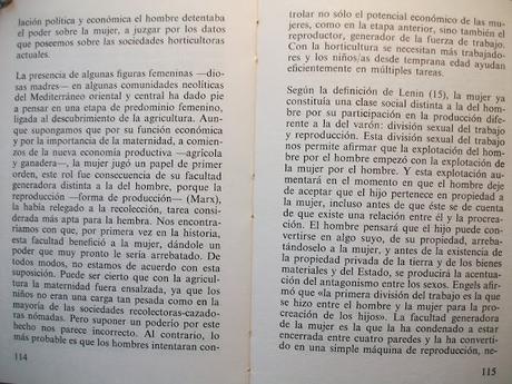 LAS TESIS DEL PARTIDO FEMINISTA DE ESPAÑA