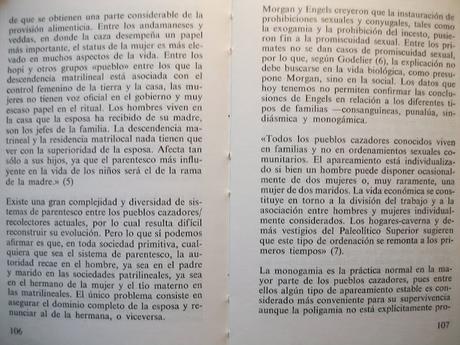 LAS TESIS DEL PARTIDO FEMINISTA DE ESPAÑA