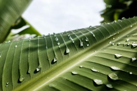 Dos gota de agua, microrrelato de Mauro Marino Jiménez