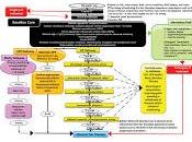 Nuevas Pautas Tratamiento Lesión Cerebral Traumática