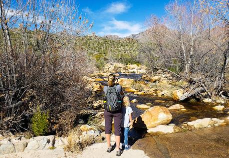 sabino-canyon-tucson-2 ▷ Experimentando el mágico Sabino Canyon en Tucson, Arizona