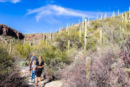 sabino-canyon-tucson-10-1 ▷ Experimentando el mágico Sabino Canyon en Tucson, Arizona