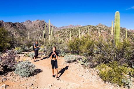 sabino-canyon-trails-3 ▷ Experimentando el mágico Sabino Canyon en Tucson, Arizona