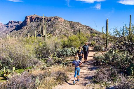 sabino-canyon-trails-2 ▷ Experimentando el mágico Sabino Canyon en Tucson, Arizona