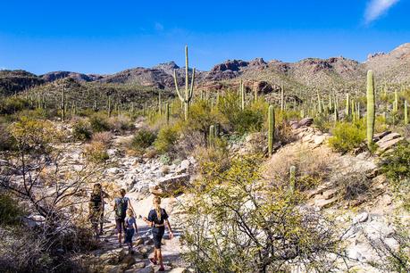 sabino-canyon-tucson-14 ▷ Experimentando el mágico Sabino Canyon en Tucson, Arizona