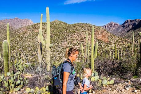 sabino-canyon-trails-1 ▷ Experimentando el mágico Sabino Canyon en Tucson, Arizona