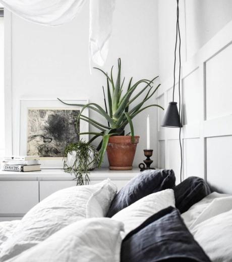 7 plantas para tener en la mesita de noche, que nos ayudarán a dormir