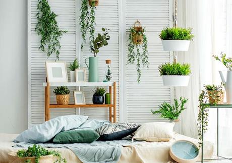 7 plantas para tener en la mesita de noche, que nos ayudarán a dormir