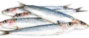 Sabes ¿Qué Es El Colágeno? Y Que Beneficios Aporta Para Tu Salud