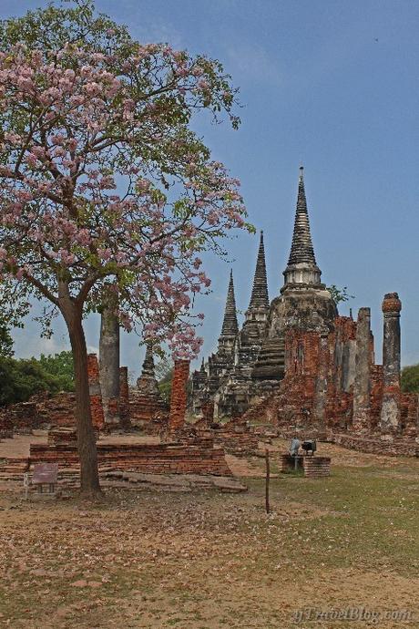 Ayutthaya-historical-park-7 ▷ Comentario sobre Ayutthaya Tailandia: un recorrido en bicicleta y en barco por el Reino Real por Machen Sie eine Radtour durch Ayutthaya, Tailandia: www.ytravelblog.c ... - Travel Blog 2019