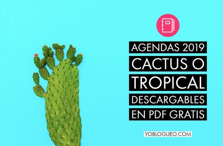 Agendas 2019 Cactus o Tropical descargables en PDF gratis | 300 páginas