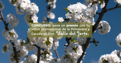 Concurso: gana un premio con tu vídeo promocional de la Primavera y Cerezo en Flor. Valle del Jerte.