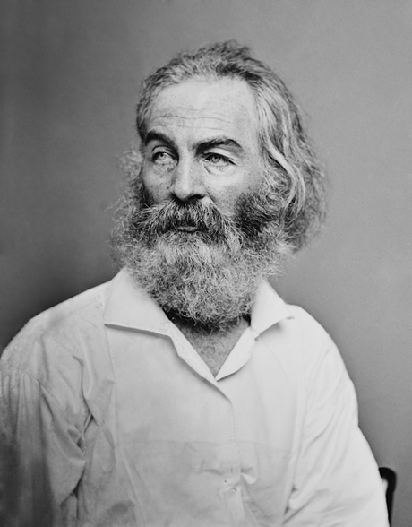 Galería de favoritos 31 / Walt Whitman