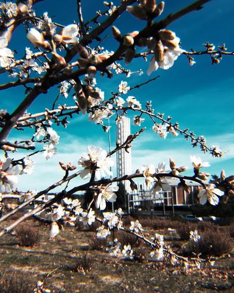 Instamoments febrero 2019 Instamoments febrero 2019