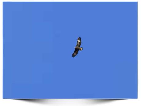 #WeekPic 70 Libertad #WeekPic 70 Libertad