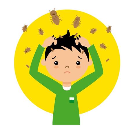 El ciclo vital de los piojos en los niños El ciclo vital de los piojos en los niños