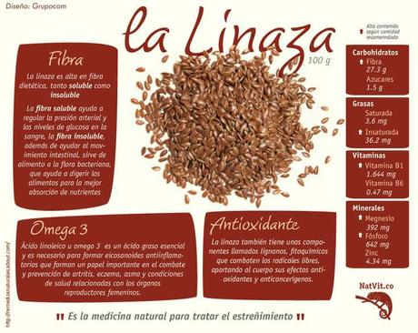 Ya estás disfrutando de los beneficios de la linaza o tod... infografía de la linaza y sus beneficios