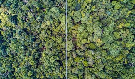 cheapsingapore11 ▷ 18 cosas gratis y baratas para hacer en Singapur