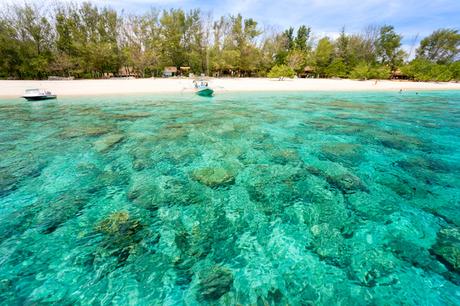 gili_meno ▷ 10 mejores playas de Indonesia