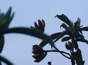 …del poemario asomo noche”. Comp&#225;rtelo:What...