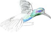 vuelta extraescolares