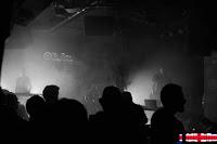 León Impala en Sala el Sol León Impala en Sala el Sol