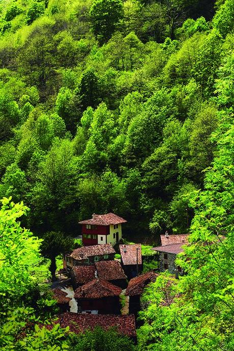 5f37abc8-4d34-4897-b6c5-76d9172a1752?t=1551952485258 ▷ Las 12 fotos de Asturias que más triunfan en Instagram ✅