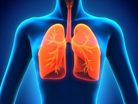 EPOC, OXíGENO EN PULMONES Y EJERCICIO EPOC, OXíGENO EN PULMONES Y EJERCICIO