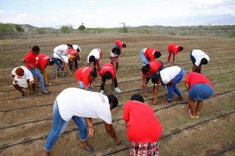 Sur Futuro concluye proyecto agrícola a favor de 108 mujeres de Tamayo.