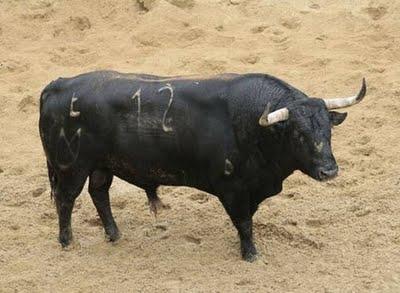 Los cuvillos para mañana