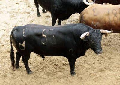 Los cuvillos para mañana