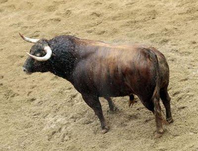 Los cuvillos para mañana