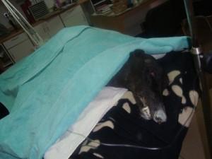 Esperanza_hospitalizada ¿Hasta cuándo???