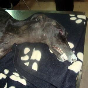 Esperanza_cara ¿Hasta cuándo???