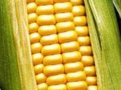 Especulando alimentos
