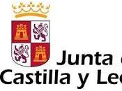 Junta Castilla León, mejores peores