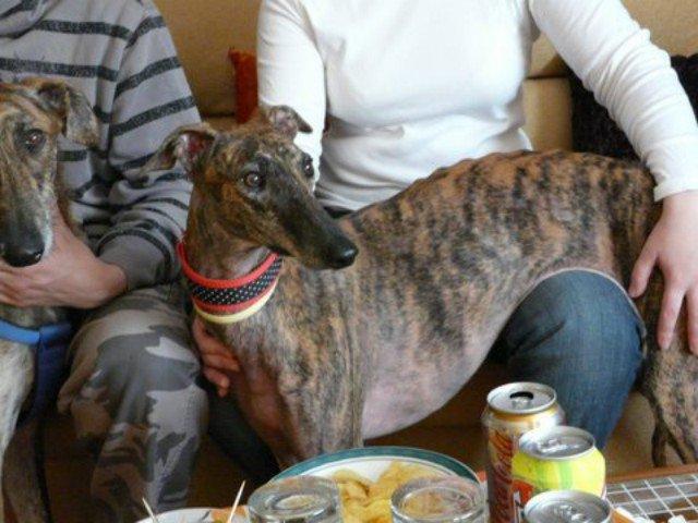 Historias de adoptados. Nata y Alicia