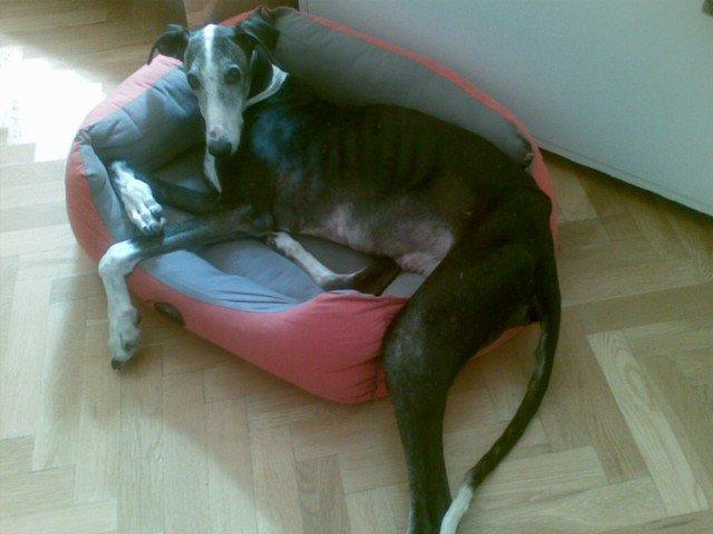 Historias de adoptados. Nata y Alicia