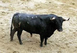 SE INDULTAN GATOS. RAZÓN: LA REAL MAESTRANZA